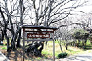 佐倉市城址公園